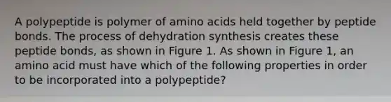 A polypeptide is polymer of amino acids held together by peptide bonds. The process of dehydration synthesis creates these peptide bonds, as shown in Figure 1. As shown in Figure 1, an amino acid must have which of the following properties in order to be incorporated into a polypeptide?