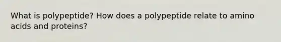 What is polypeptide? How does a polypeptide relate to amino acids and proteins?