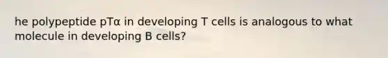 he polypeptide pTα in developing T cells is analogous to what molecule in developing B cells?