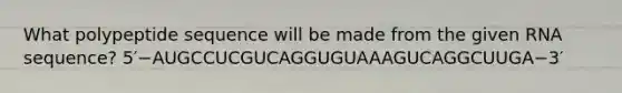 What polypeptide sequence will be made from the given RNA sequence? 5′−AUGCCUCGUCAGGUGUAAAGUCAGGCUUGA−3′