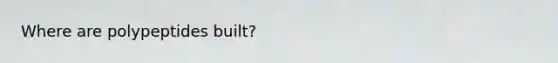 Where are polypeptides built?
