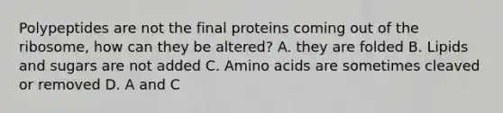 Polypeptides are not the final proteins coming out of the ribosome, how can they be altered? A. they are folded B. Lipids and sugars are not added C. Amino acids are sometimes cleaved or removed D. A and C