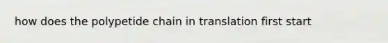 how does the polypetide chain in translation first start