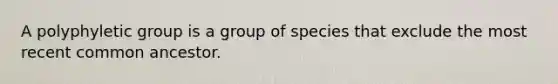 A polyphyletic group is a group of species that exclude the most recent common ancestor.