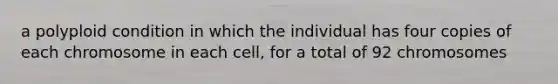 a polyploid condition in which the individual has four copies of each chromosome in each cell, for a total of 92 chromosomes