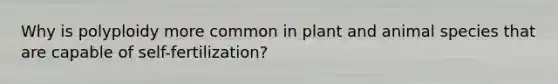 Why is polyploidy more common in plant and animal species that are capable of self-fertilization?