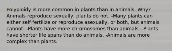 Polyploidy is more common in plants than in animals. Why? -Animals reproduce sexually, plants do not. -Many plants can either self-fertilize or reproduce asexually, or both, but animals cannot. -Plants have more chromosomes than animals. -Plants have shorter life spans than do animals. -Animals are more complex than plants.