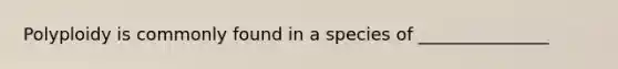 Polyploidy is commonly found in a species of _______________