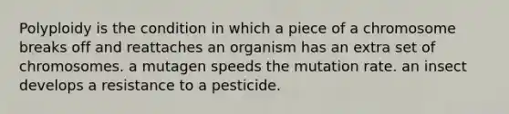 Polyploidy is the condition in which a piece of a chromosome breaks off and reattaches an organism has an extra set of chromosomes. a mutagen speeds the mutation rate. an insect develops a resistance to a pesticide.