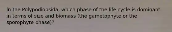 In the Polypodiopsida, which phase of the life cycle is dominant in terms of size and biomass (the gametophyte or the sporophyte phase)?