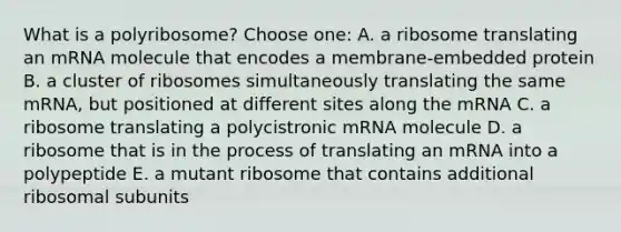 What is a polyribosome? Choose one: A. a ribosome translating an mRNA molecule that encodes a membrane-embedded protein B. a cluster of ribosomes simultaneously translating the same mRNA, but positioned at different sites along the mRNA C. a ribosome translating a polycistronic mRNA molecule D. a ribosome that is in the process of translating an mRNA into a polypeptide E. a mutant ribosome that contains additional ribosomal subunits