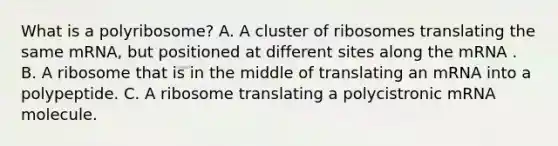 What is a polyribosome? A. A cluster of ribosomes translating the same mRNA, but positioned at different sites along the mRNA . B. A ribosome that is in the middle of translating an mRNA into a polypeptide. C. A ribosome translating a polycistronic mRNA molecule.