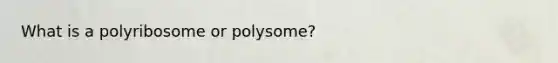 What is a polyribosome or polysome?