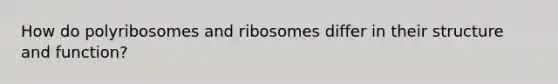 How do polyribosomes and ribosomes differ in their structure and function?