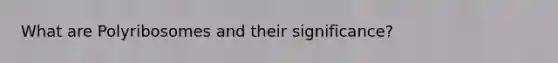 What are Polyribosomes and their significance?