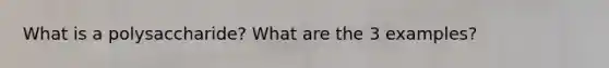 What is a polysaccharide? What are the 3 examples?