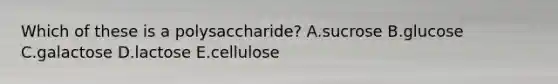 Which of these is a polysaccharide? A.sucrose B.glucose C.galactose D.lactose E.cellulose