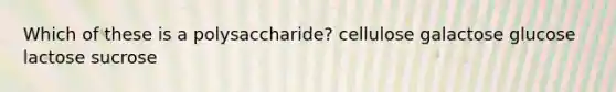 Which of these is a polysaccharide? cellulose galactose glucose lactose sucrose