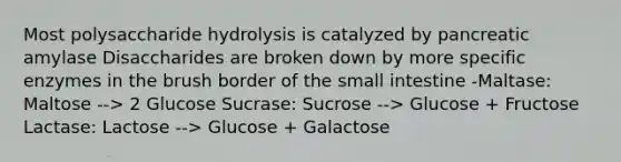 Most polysaccharide hydrolysis is catalyzed by pancreatic amylase Disaccharides are broken down by more specific enzymes in the brush border of the small intestine -Maltase: Maltose --> 2 Glucose Sucrase: Sucrose --> Glucose + Fructose Lactase: Lactose --> Glucose + Galactose