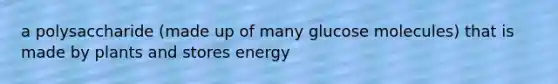 a polysaccharide (made up of many glucose molecules) that is made by plants and stores energy