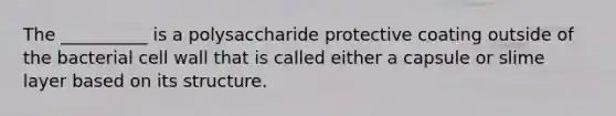 The __________ is a polysaccharide protective coating outside of the bacterial cell wall that is called either a capsule or slime layer based on its structure.