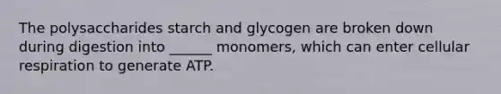 The polysaccharides starch and glycogen are broken down during digestion into ______ monomers, which can enter cellular respiration to generate ATP.