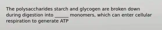 The polysaccharides starch and glycogen are broken down during digestion into ______ monomers, which can enter <a href='https://www.questionai.com/knowledge/k1IqNYBAJw-cellular-respiration' class='anchor-knowledge'>cellular respiration</a> to generate ATP