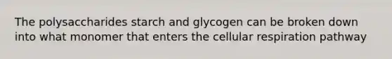 The polysaccharides starch and glycogen can be broken down into what monomer that enters the cellular respiration pathway