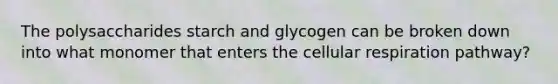 The polysaccharides starch and glycogen can be broken down into what monomer that enters the <a href='https://www.questionai.com/knowledge/k1IqNYBAJw-cellular-respiration' class='anchor-knowledge'>cellular respiration</a> pathway?