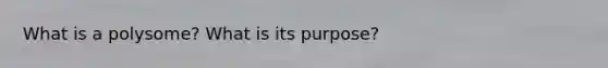 What is a polysome? What is its purpose?