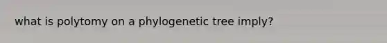 what is polytomy on a phylogenetic tree imply?