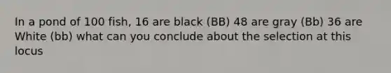 In a pond of 100 fish, 16 are black (BB) 48 are gray (Bb) 36 are White (bb) what can you conclude about the selection at this locus