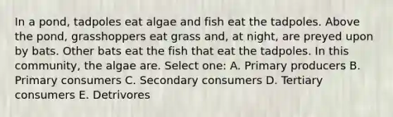 In a pond, tadpoles eat algae and fish eat the tadpoles. Above the pond, grasshoppers eat grass and, at night, are preyed upon by bats. Other bats eat the fish that eat the tadpoles. In this community, the algae are. Select one: A. Primary producers B. Primary consumers C. Secondary consumers D. Tertiary consumers E. Detrivores