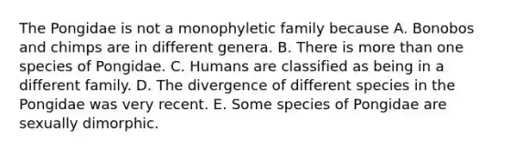 The Pongidae is not a monophyletic family because A. Bonobos and chimps are in different genera. B. There is more than one species of Pongidae. C. Humans are classified as being in a different family. D. The divergence of different species in the Pongidae was very recent. E. Some species of Pongidae are sexually dimorphic.