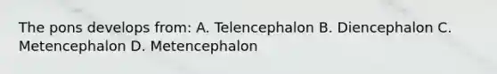 The pons develops from: A. Telencephalon B. Diencephalon C. Metencephalon D. Metencephalon