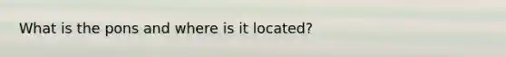 What is the pons and where is it located?