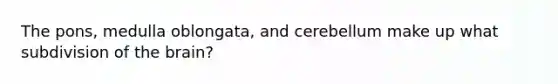 The pons, medulla oblongata, and cerebellum make up what subdivision of the brain?