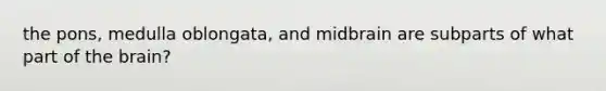 the pons, medulla oblongata, and midbrain are subparts of what part of the brain?