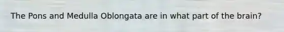 The Pons and Medulla Oblongata are in what part of <a href='https://www.questionai.com/knowledge/kLMtJeqKp6-the-brain' class='anchor-knowledge'>the brain</a>?