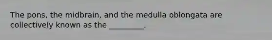 The pons, the midbrain, and the medulla oblongata are collectively known as the _________.