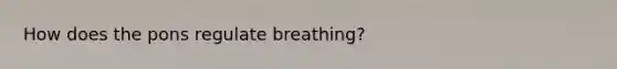 How does the pons regulate breathing?