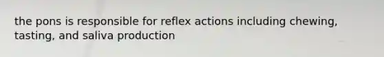 the pons is responsible for reflex actions including chewing, tasting, and saliva production