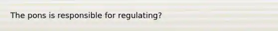 The pons is responsible for regulating?