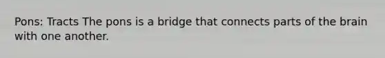 Pons: Tracts The pons is a bridge that connects parts of <a href='https://www.questionai.com/knowledge/kLMtJeqKp6-the-brain' class='anchor-knowledge'>the brain</a> with one another.