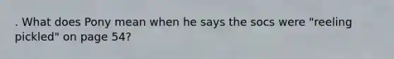 . What does Pony mean when he says the socs were "reeling pickled" on page 54?