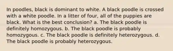 In poodles, black is dominant to white. A black poodle is crossed with a white poodle. In a litter of four, all of the puppies are black. What is the best conclusion? a. The black poodle is definitely homozygous. b. The black poodle is probably homozygous. c. The black poodle is definitely heterozygous. d. The black poodle is probably heterozygous.