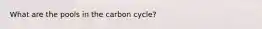 What are the pools in the carbon cycle?