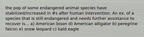 the pop of some endangered animal species have stabilized/increased in #s after human intervention. An ex. of a species that is still endangered and needs further assistance to recover is... a) American bison d) American alligator b) peregrine falcon e) snow leopard c) bald eagle