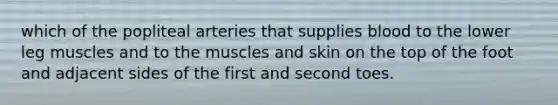 which of the popliteal arteries that supplies blood to the lower leg muscles and to the muscles and skin on the top of the foot and adjacent sides of the first and second toes.