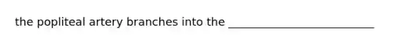 the popliteal artery branches into the __________________________